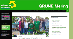 Desktop Screenshot of gruene-mering.de